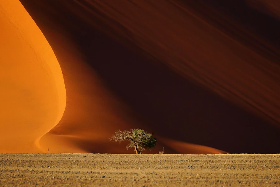 25 фотографий крупнейших песчаных дюн на Земле